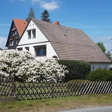 Schiller Apartment